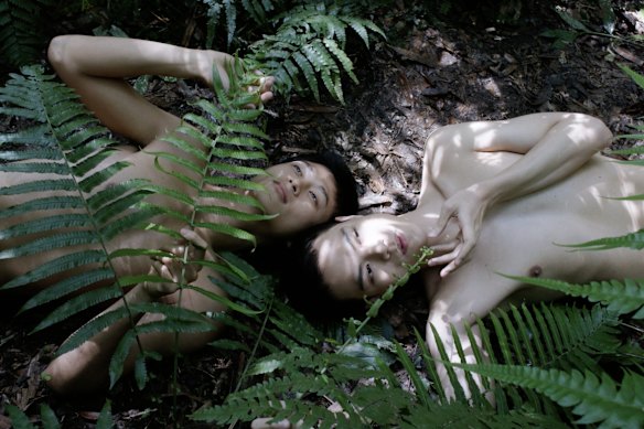 Zheng Bo’s Pteridophilia 4, 2019, video.