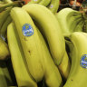 Chiquita bananas are piled on display in a shop in Bainbridge, Ohio, US.