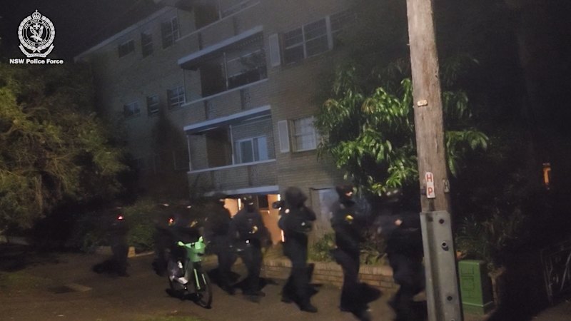 Police watchdog called in over dawn arrest of Herzog protester