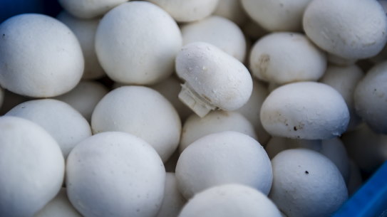 Low prices for mushrooms have hurt fruit and vegetable giant Costa Group.
