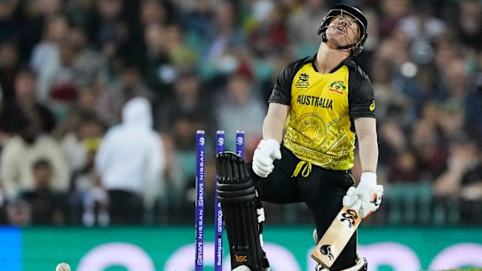 David Warner reacts after he was out bowled against New Zealand at the SCG.