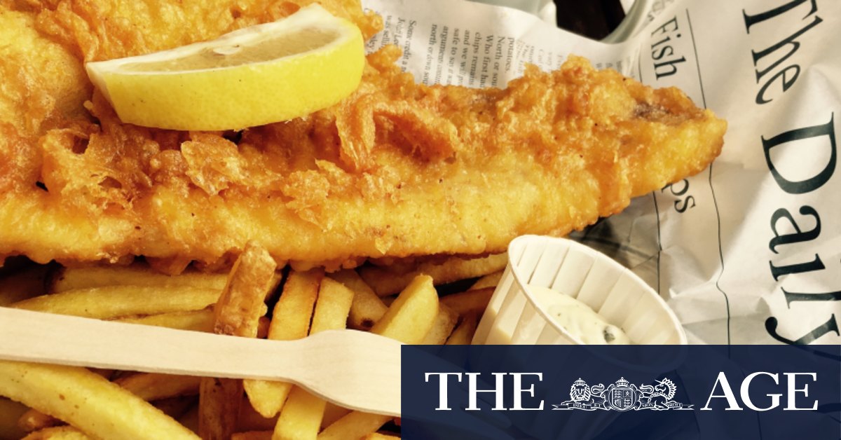 How Perth fish 'n' chip shops can sell endangered shark – with you none