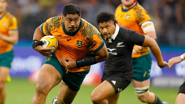 France-based Wallabies star Will Skelton is back with the team in Dublin.