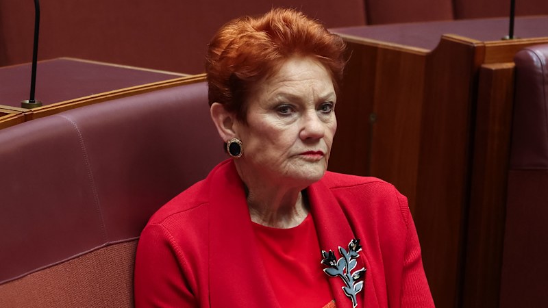 Despite poll turbulence, One Nation could still clean up in the Senate