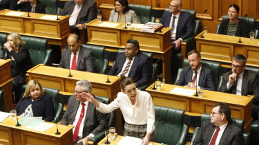 Jacinda Ardern delivers NZ's climate emergency declaration in Parliament on December 2. 
