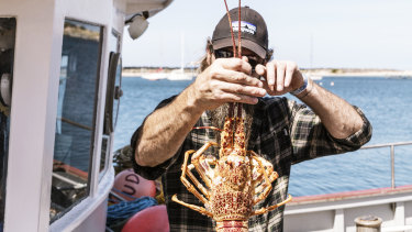 The Apollo Bay Seafood Festival.