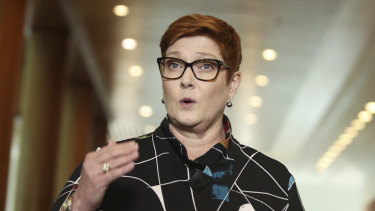 Minister for Foreign Affairs Marise Payne said she has serious concerns about the incident. 