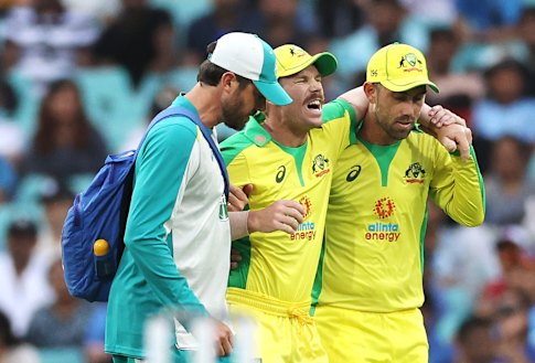 David Warner is helped from the field on Sunday night. 