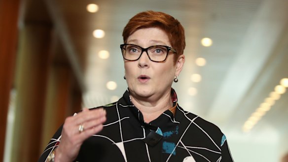 Minister for Foreign Affairs Marise Payne said she has serious concerns about the incident. 