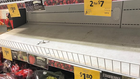 Empty shelves, normally stocked with strawberry punnets, are seen at a Coles supermarket in Brisbane.