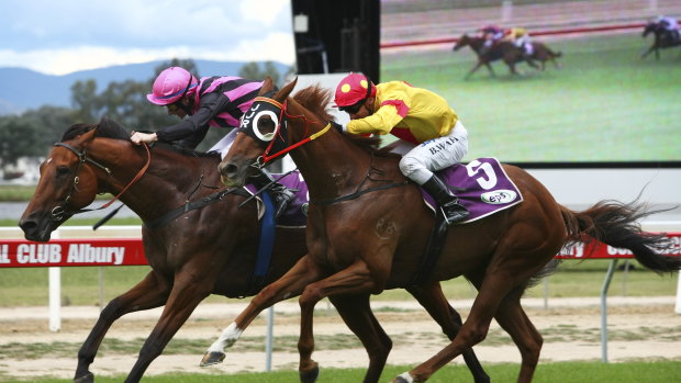 Racing returns to Albury on Sunday.