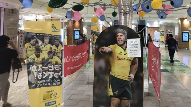 There he is: It's Wallabies fever in Odawara. 