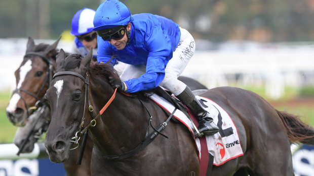 Several punting theories come together with Avilius in this year's Cox Plate.