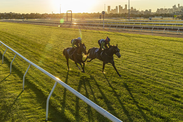 Neufbosc, pictured right at Flemington in 2019, has thrived in a hotter climate, under trainer Neville Parnham. 