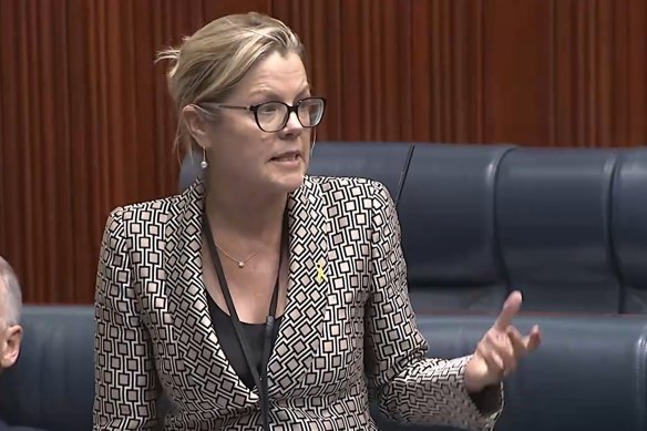 Liberal leader Libby Mettam in Parliament today. 