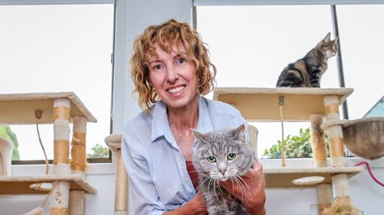 Erin Kennedy in her cat room.