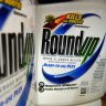 Should you really be worried about using Roundup?