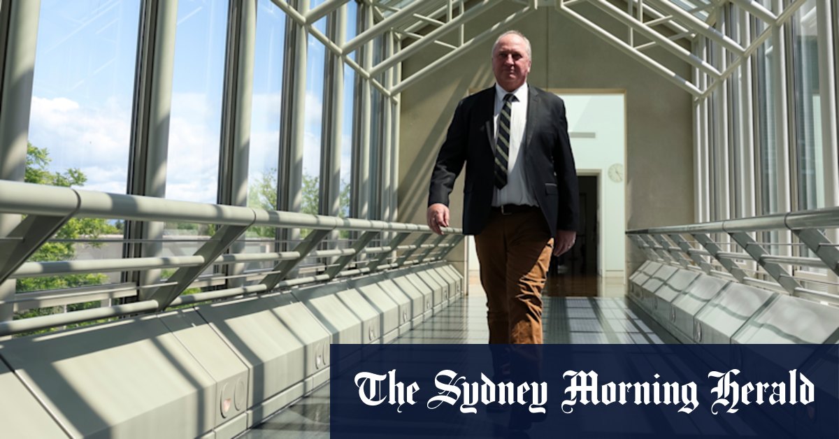 ‘So what if he fell off a pot plant?’: Barnaby Joyce’s voters face a choice