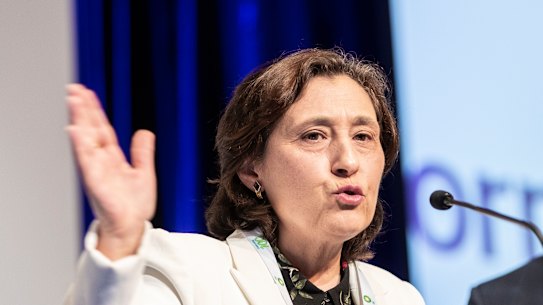 Environment Minister Lily D'Ambrosio 