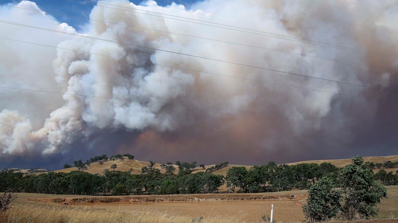 Dread memories of bushfires past stirred by new smoke and flame