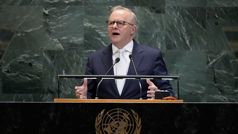 Anthony Albanese’s UN Speech: Australians React With Pride to Globa...