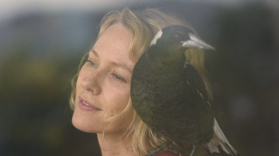 Naomi Watts with magpie in Penguin Bloom. 