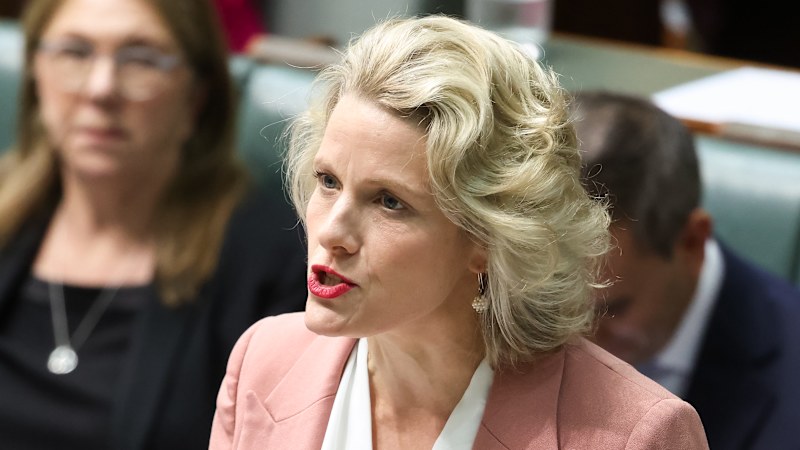 Housing minister's $375,000 capital gain