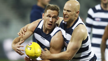 Once In A Generation Cats And There S Two Of Them