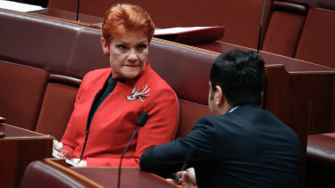 Pauline Hanson and Sam Dastyari at Parliament House in November 2017.  