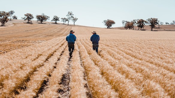 Companies that rely on the agriculture supply chain are investing $2 million in the Mars Cool Soil initiative to help 200 grain farmers reduce and measure their carbon emissions. 