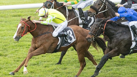 Eduardo charges away with the July Sprint at Rosehill.