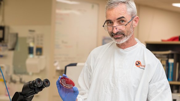 Professor Josh Davis.