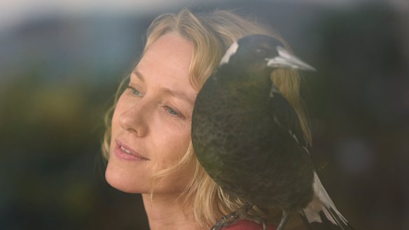 Naomi Watts with magpie in Penguin Bloom. 