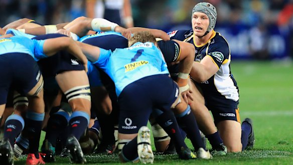 Standover man: David Pocock looks on at scrum time during a typically dominant outing for the loose forward.