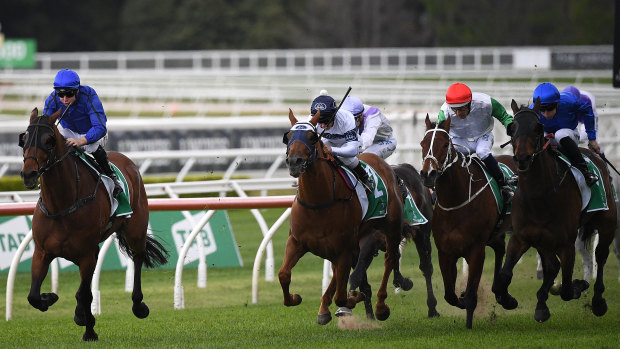 Tommy Berry goes for broke on Happy Clapper in the Craven Plate.