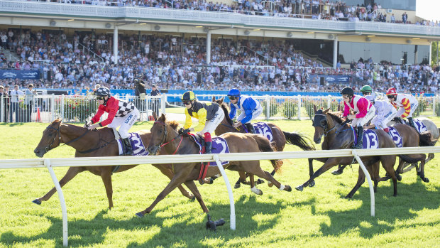 Perth Cup 2019 will be held on January 5. 