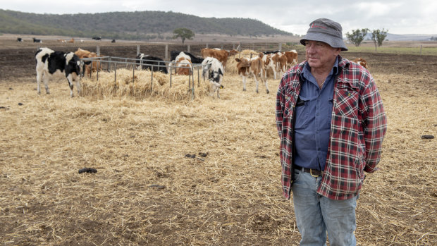 Pictured on his drought-stricken property in Pilton, near Toowoomba in Queensland, dairy farmer Brendan Hayden has been forced to buy feed for his cattle, the price of which is climbing. 
