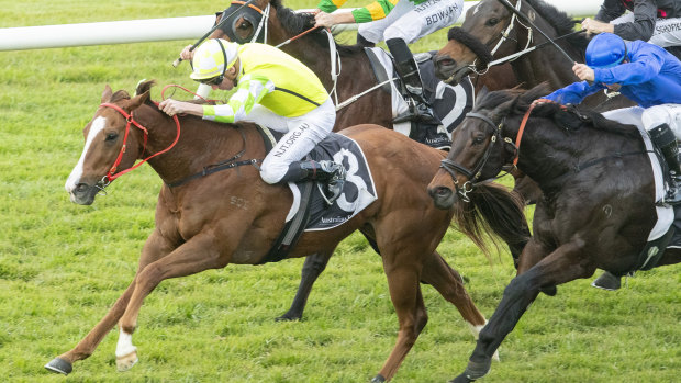 Eduardo charges away with the July Sprint at Rosehill.