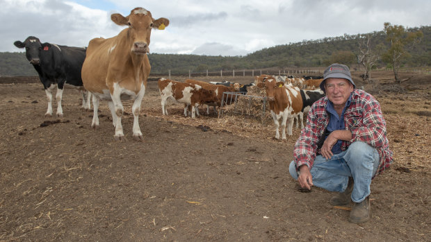 Dairy farmer Brendan Hayden on his drought-stricken property in Pilton, Queensland (near Toowoomba).