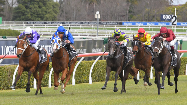 A good track is expected for Randwick's Kensington track on Wednesday.