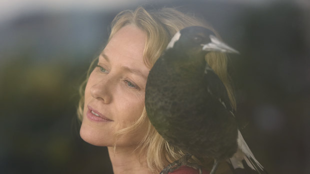 Naomi Watts with magpie in Penguin Bloom. 