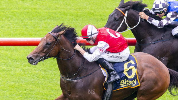 Southern Lad races away to win at Randwick at the beginning of 2020.