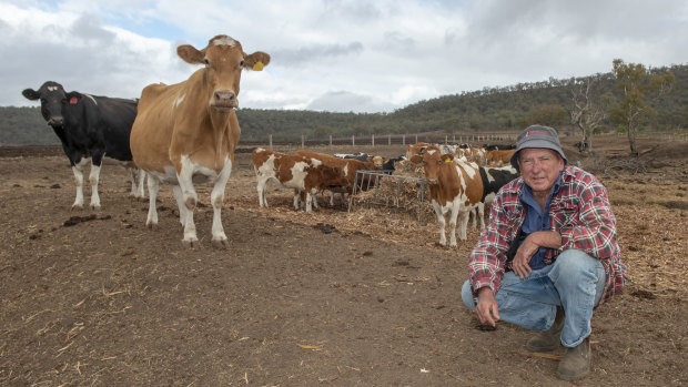Dairy farmer Brendan Hayden on his drought-stricken property, in Pilton, Queensland (near Toowoomba).