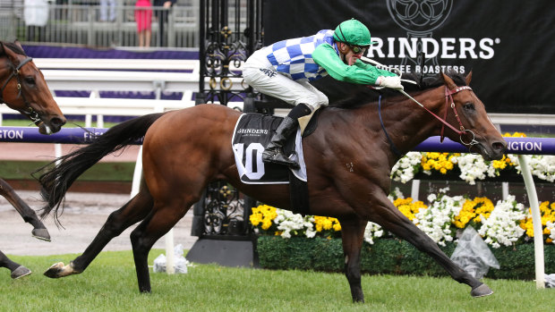 Shining bright: Jockey Ben Allen rides Fifty Stars to victory in race 3 on Melbourne Cup Day, 
