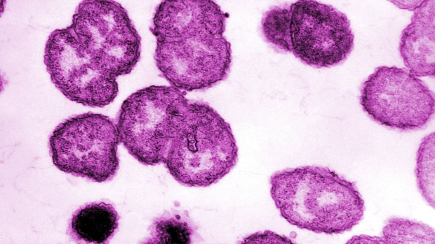 The gonorrhoea virus is developing resistance to some antibiotics.