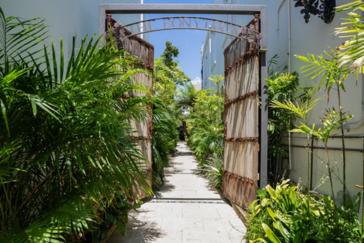 The Bonython office precinct is full of lush tropical plants.