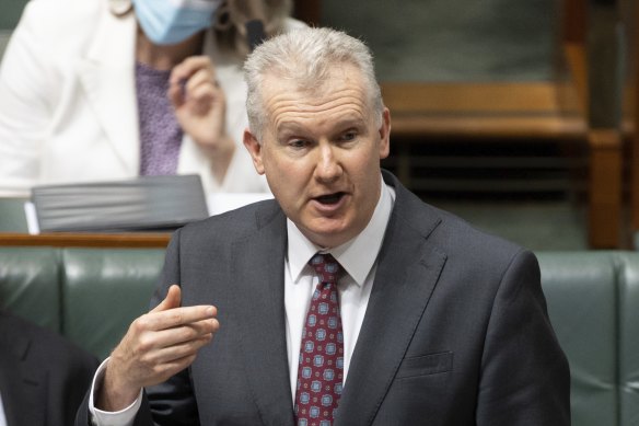 Minister for Employment and Workplace Relations Tony Burke.