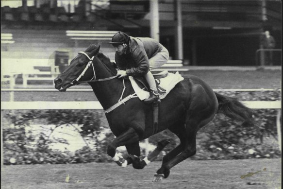 When Kingston Town made his mark, racecourse characters, given a moniker for many reasons, still abounded.