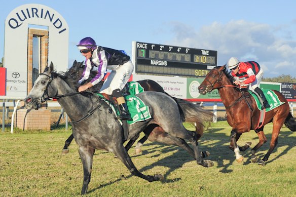 Dingle Grey wins at Quirindi on May 11 under a big weight.