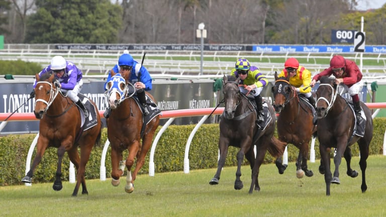 A good track is expected for Randwick's Kensington track on Wednesday.